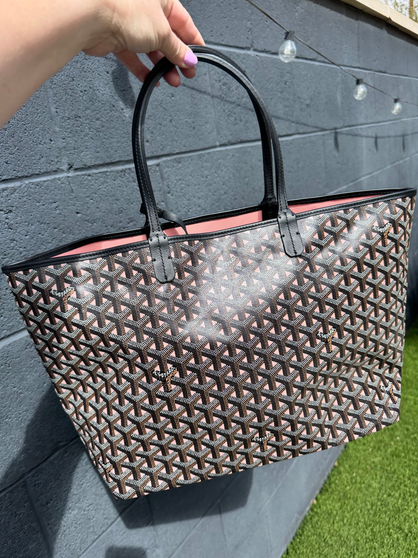 GOYARD Saint Louis Special Edition PM Claire Voie Rose Pink (Rare)