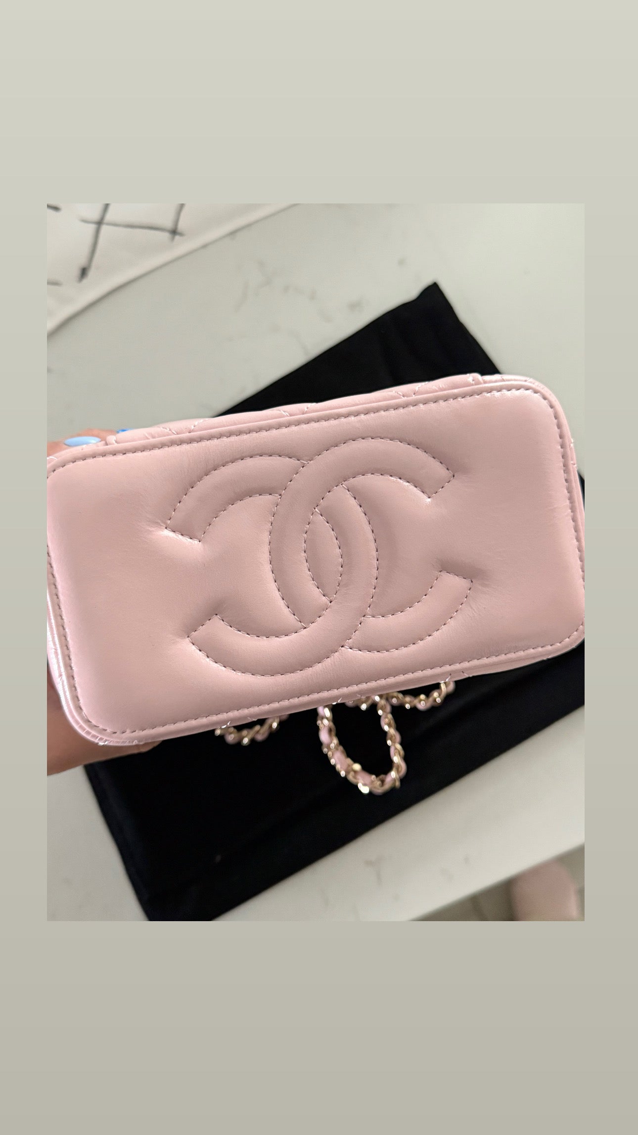 CHANEL Crinkled Pink Lambskin Double Zip Vanity Bag