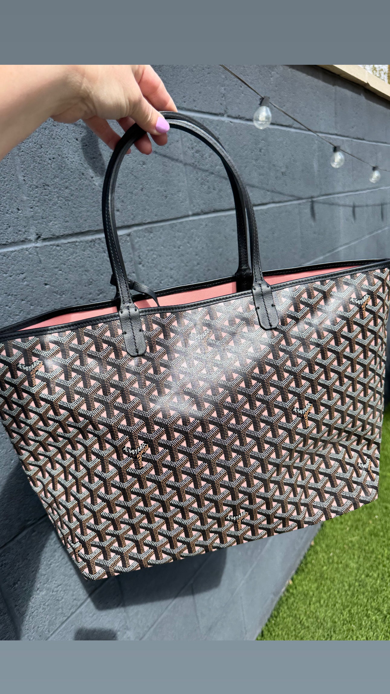 GOYARD Saint Louis Special Edition PM Claire Voie Rose Pink (Rare)