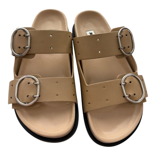 Jil Sander Agnellato Baby Calf Leather Buckle Sandals | Khaki | Size: 37 | New | $1150