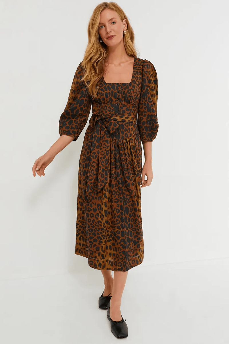 Tuckernuck Leopard Graciela Dress Size: 10